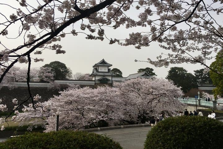 Private Tour of Kanazawa 1 Day The Must-Sees — photo 2