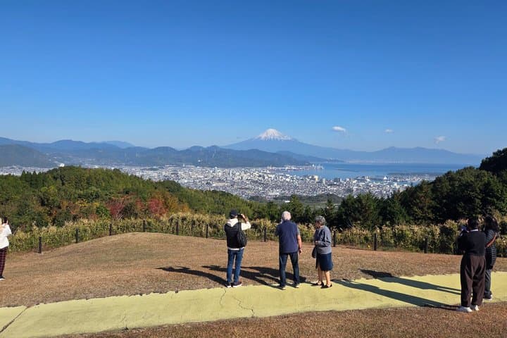 Short Tour to View Mt. Fuji from Various Angles from Shimizu Port — photo 6