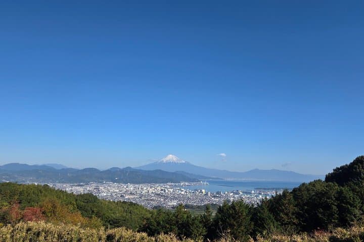 Short Tour to View Mt. Fuji from Various Angles from Shimizu Port — photo 5