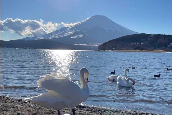 Lake Ashi Owakudani and Shrine Visit Mount Fuji Hakone Tour — photo 9