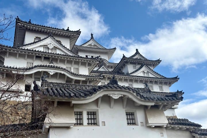 Himeji Castle tour with a Local University Student Guide — photo 8