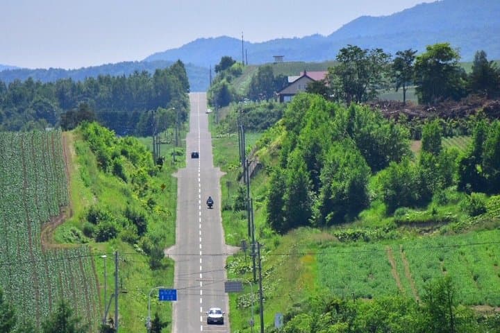 Hokkaido: Biei Blue Pond and Furano Flower Farm Day Trip — photo 12