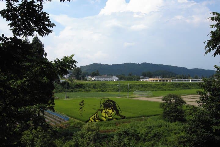 Making Original Nenju Bracelet & Safflower Dyeing in Yonezawa — photo 8