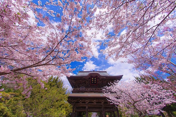 Kamakura Heritage and Nature Hiking Experience — photo 1