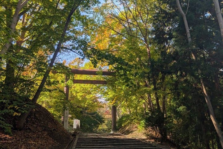 Hokkaido Shrine and Shiroi Koibito Park Sweets Across Generations — photo 4