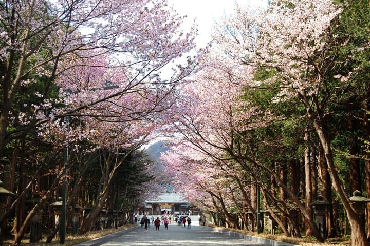 Hokkaido Shrine and Shiroi Koibito Park Sweets Across Generations — photo 9