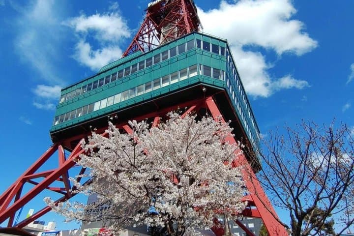 Sapporo Full Day Cultural Tour with National Licensed Guide