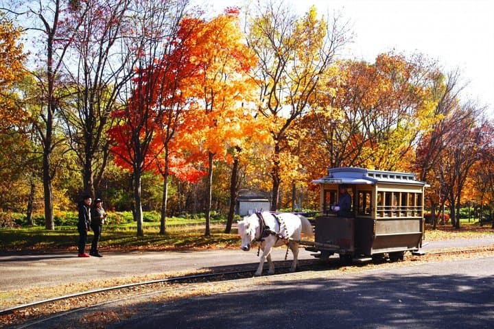 Historic Village and Museum in Sapporo by Public Transportation — photo 4