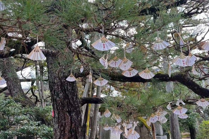 Amanohashidate & Ine Day Trip with Cable Car & Boat — photo 7