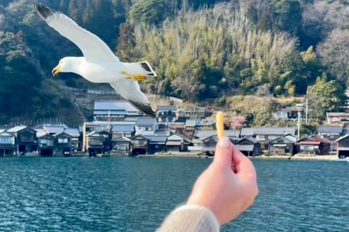 Amanohashidate & Ine Day Trip with Cable Car & Boat — photo 15