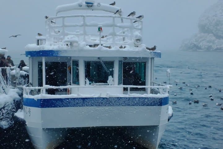 Amanohashidate & Ine Day Trip with Cable Car & Boat — photo 19