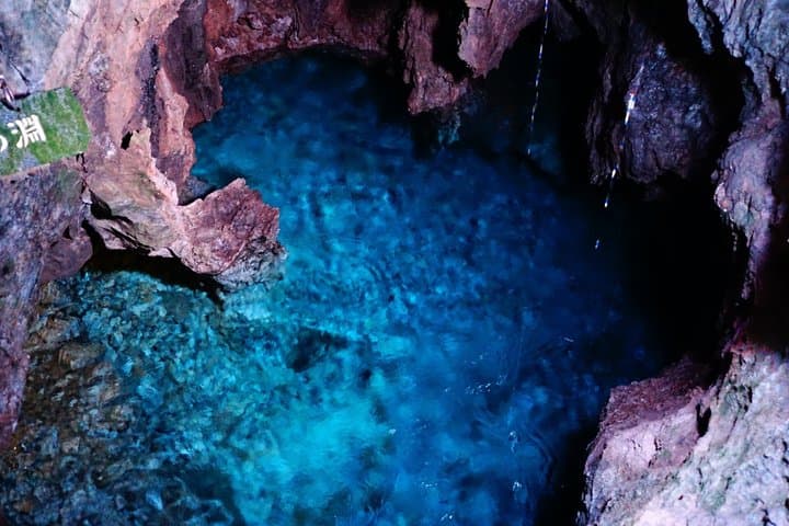 Miyako Iwate Private Shore Excursion Coastal Wonders and Caves — photo 5