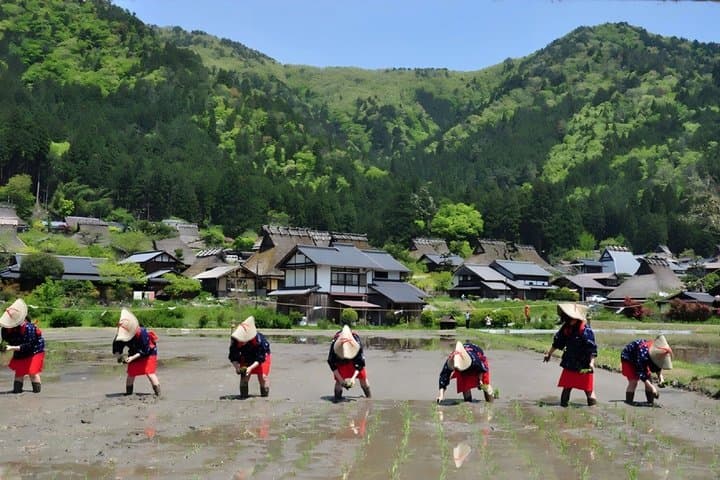 Miyama Village, Amanohashidate, and Ine Funaya One-Day Tour — photo 3