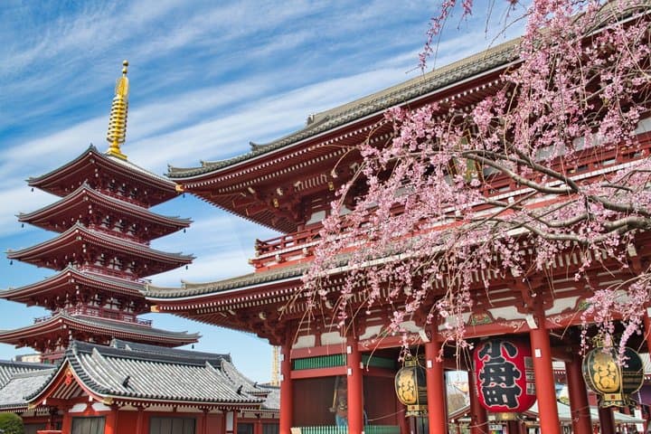 Haneda Layover Tokyo private tour