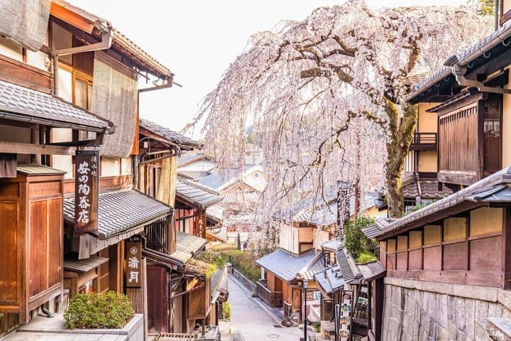 Kyoto Gion Evening Walk: Sake, Secret Alleys & Geisha District — photo 17