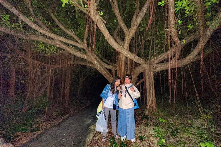 Miyako Island Night Tour Jungle Adventure Stargazing and Wildlife — photo 11