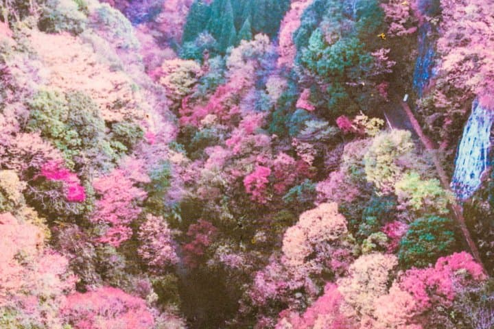 Takachiho Gorge Train Sea of Clouds Amano Iwato Shrine and Cave — photo 16