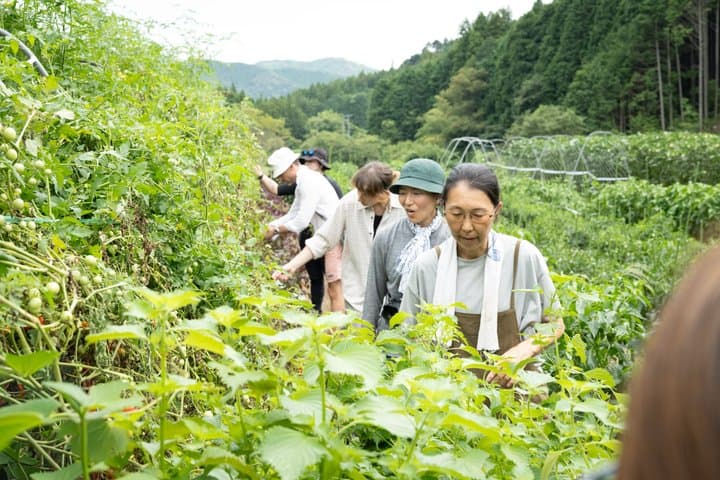 Private Satomi Village Cultural Experience Tour — photo 4