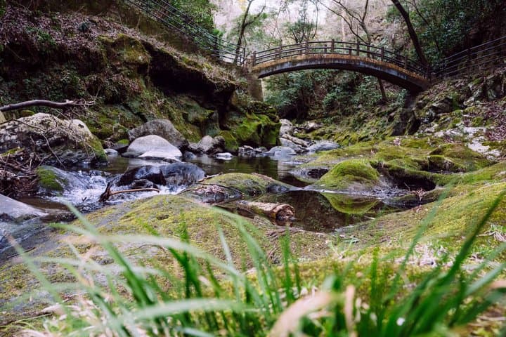 Takachiho Gorge Train Sea of Clouds Amano Iwato Shrine and Cave — photo 8