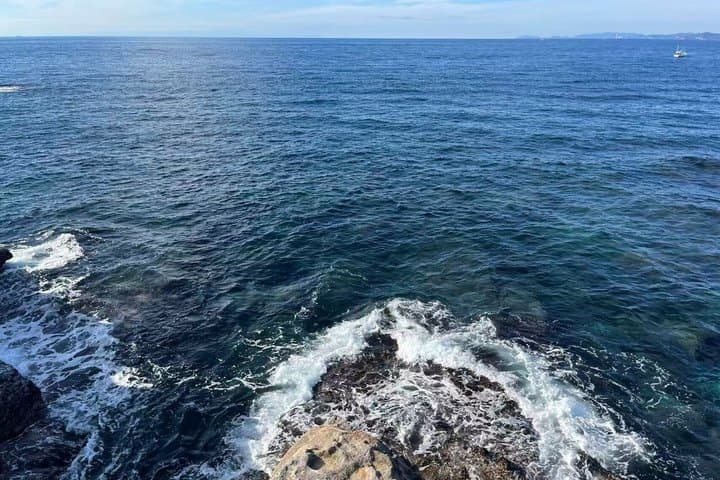 Shirahama Day Trip from Osaka Coastal Small Group — photo 17