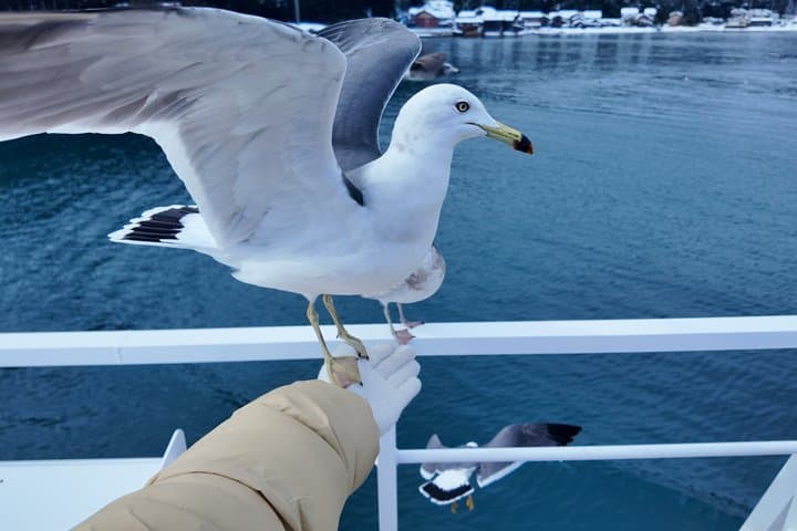 Kyoto/Osaka: Amanohashidate & Ine Funaya & Ine Bay Day Tour — photo 2