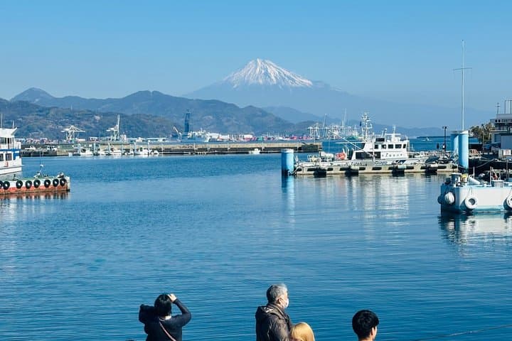 Shimizu Shore Excursion Mt. Fuji Zen and Matcha Experience — photo 15