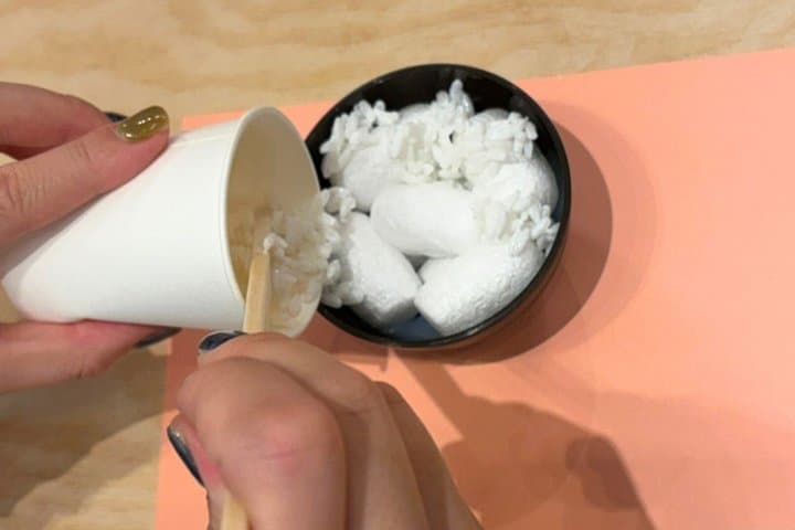 Salmon Roe Bowl Art & Lucky Capsule Toy: Win up to 5,000 JPY! — photo 3