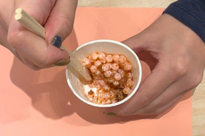 Salmon Roe Bowl Art & Lucky Capsule Toy: Win up to 5,000 JPY! — photo 4