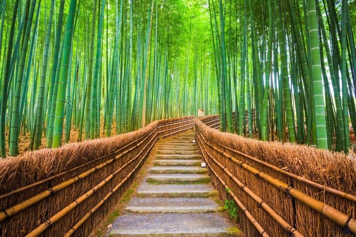 Kyoto Personalized Experience Design Your Own Private Tour — photo 5