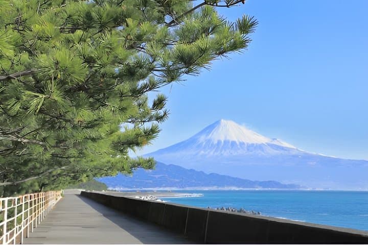 Shimizu, Shizuoka: Private Custom Tour with Local Guide — photo 3