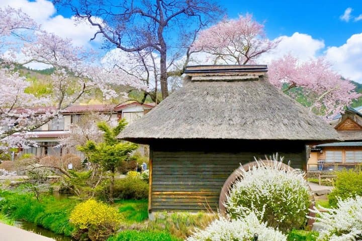 From Tokyo: Mount Fuji Sightseeing Full Day Trip — photo 17