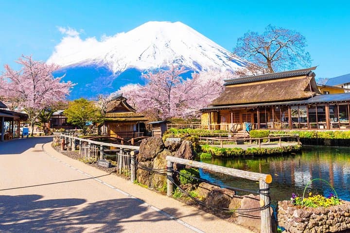 From Tokyo: Mount Fuji Sightseeing Full Day Trip — photo 16