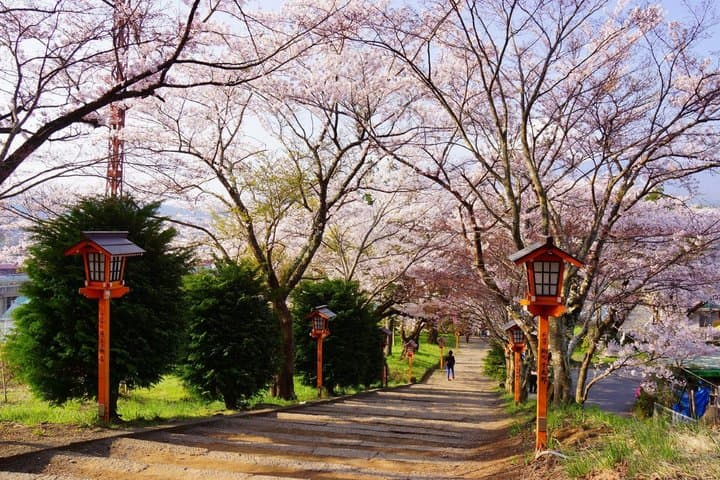 From Tokyo: Mount Fuji Sightseeing Full Day Trip — photo 12