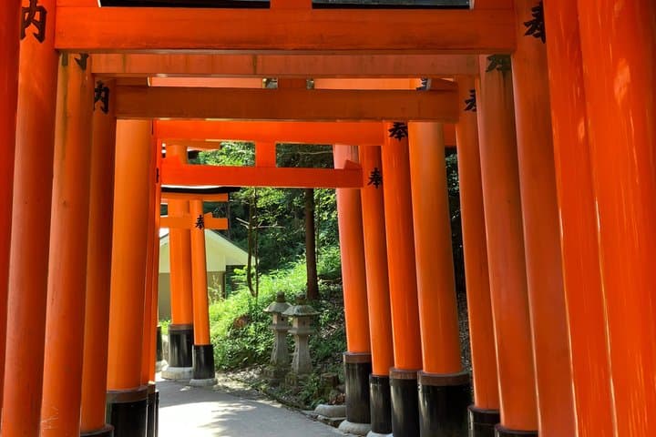 Kyoto Essential Tour with Fushimi Inari and Bamboo Grove — photo 2