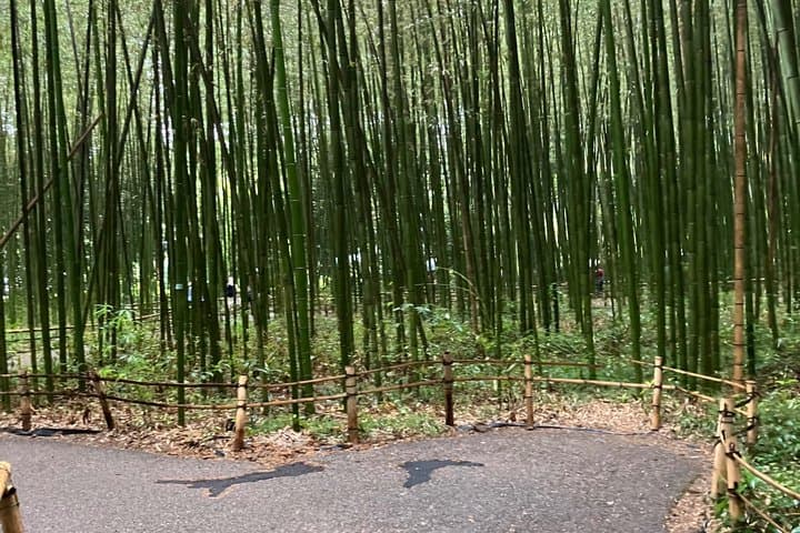 Kyoto Essential Tour with Fushimi Inari and Bamboo Grove — photo 4
