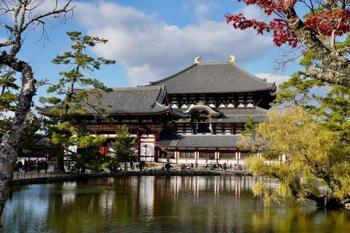 Nara and Uji Day Trip with Deer Park from Osaka — photo 6