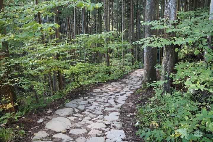Nakasendo Trail and Post Towns Private Hike from Nagoya — photo 5
