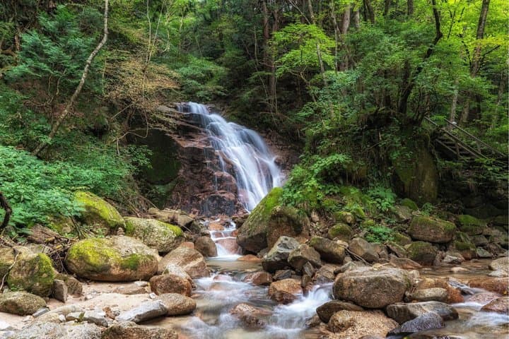 Nakasendo Trail and Post Towns Private Hike from Nagoya — photo 4