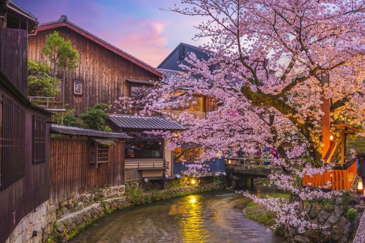 Kyoto Geisha Walking Tour Gion District And Hidden Gems — photo 3