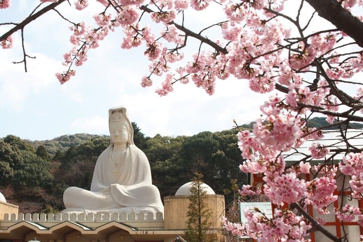 Kyoto Geisha Walking Tour Gion District And Hidden Gems — photo 7