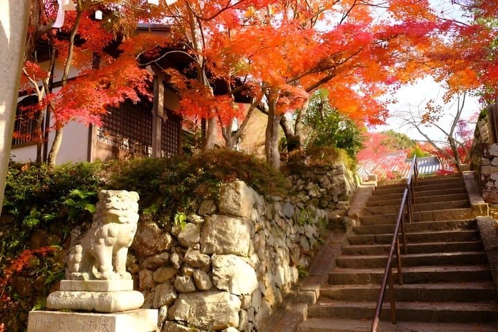 Kyoto Geisha Walking Tour Gion District And Hidden Gems — photo 12
