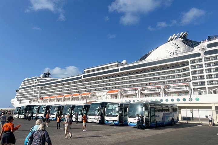 Full day Private Ishigaki Shore Excursion with English Guide — photo 7