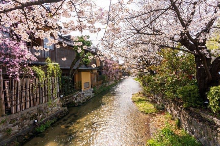 Kyoto Geisha Walking Tour Gion District And Hidden Gems — photo 14