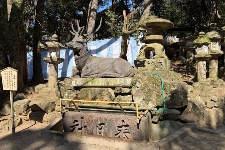 Nara Private Car Tour - Deer, Great Buddha & Optional Uji — photo 2