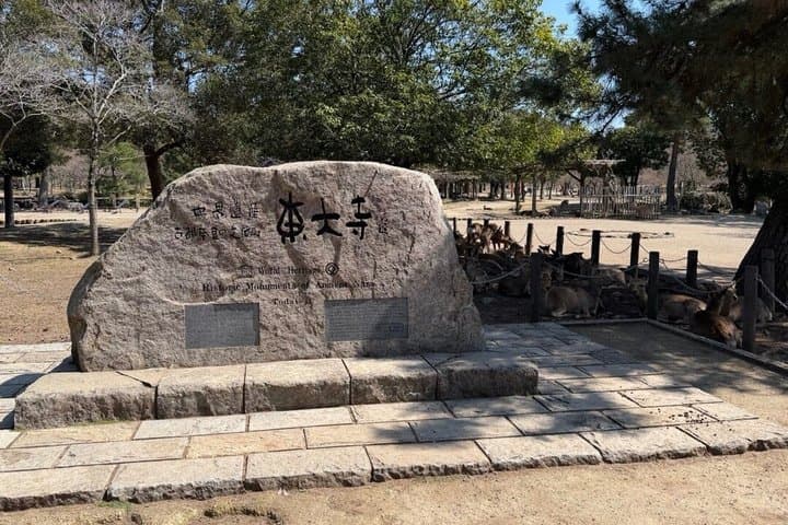 Nara Private Car Tour - Deer, Great Buddha & Optional Uji — photo 3