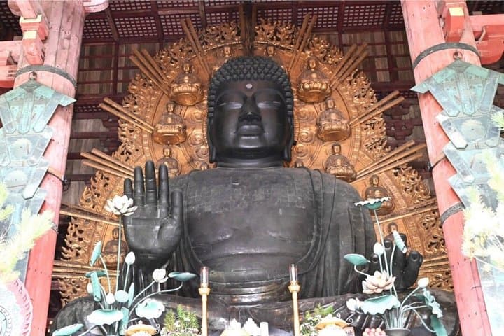 Nara Private Car Tour - Deer, Great Buddha & Optional Uji — photo 5