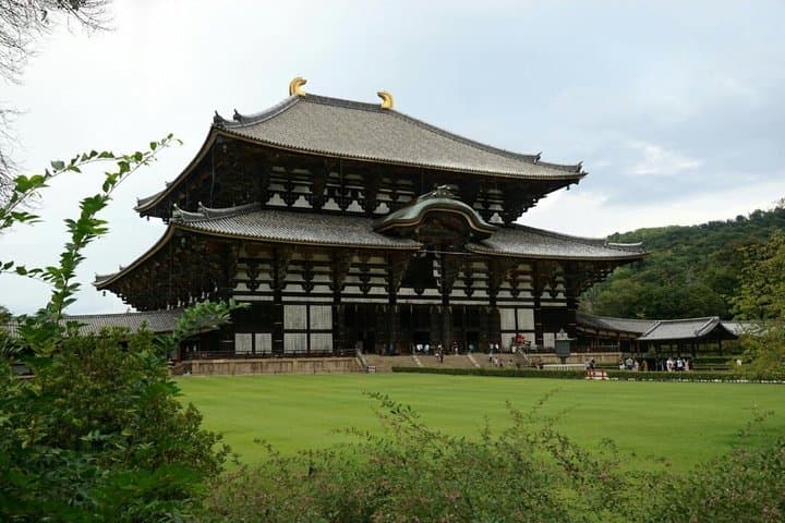 Nara Private Car Tour - Deer, Great Buddha & Optional Uji — photo 6