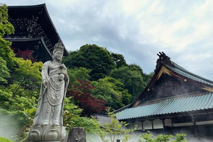 Miyajima Highlights: Itsukushima Shrine & Island Nature — photo 16
