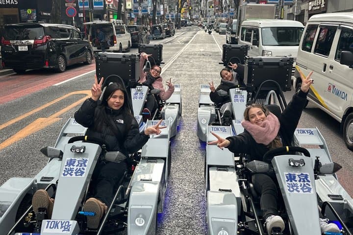 Tokyo Guided Electric Kart Tour — photo 5