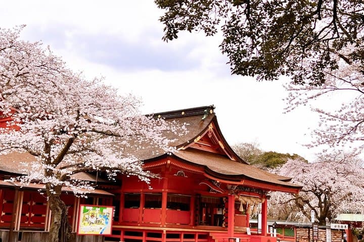 Omiya Yokocho Minivan Private Tour Experience